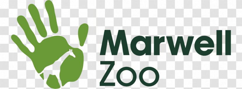 Marwell Wildlife Penguin Edinburgh Zoo London - Jacksonville And Gardens - National Day Shopping Transparent PNG
