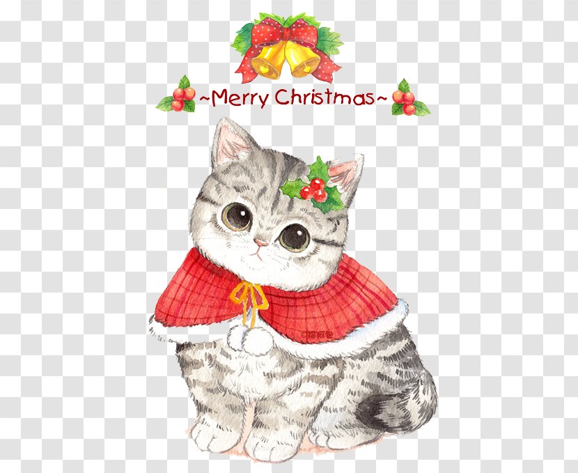 Whiskers Christmas Ornament Cat Eve - Cartoon Transparent PNG
