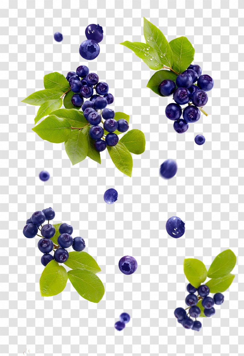 Grape Bilberry Blueberry Juice American Muffins - Leaf Transparent PNG
