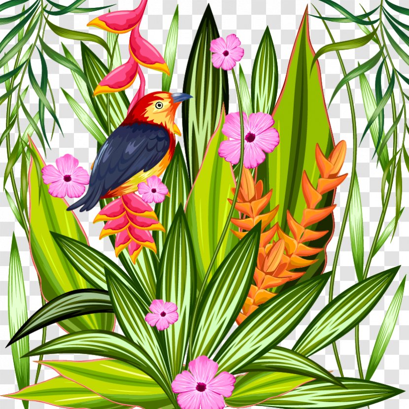 Parrot Tropics Tropical Rainforest Illustration - Floral Design - Plant Material Transparent PNG