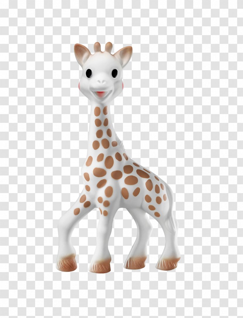 Sophie The Giraffe Teether Infant Toy Northern - Giraffidae Transparent PNG