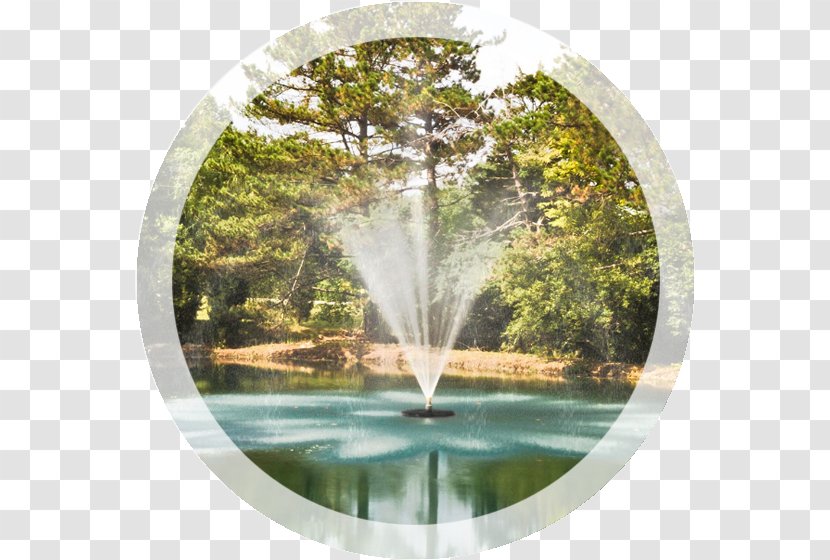 Fountain Pond Water Feature Nozzle Lake - Resources Transparent PNG