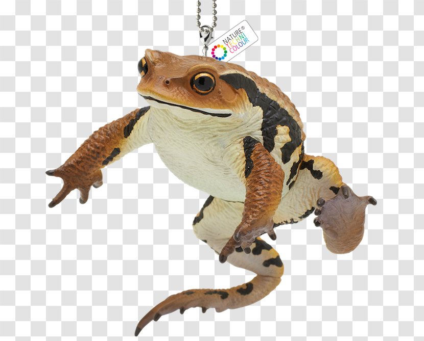Toad True Frog Gashapon Goods - Schleich Animal Toys Transparent PNG