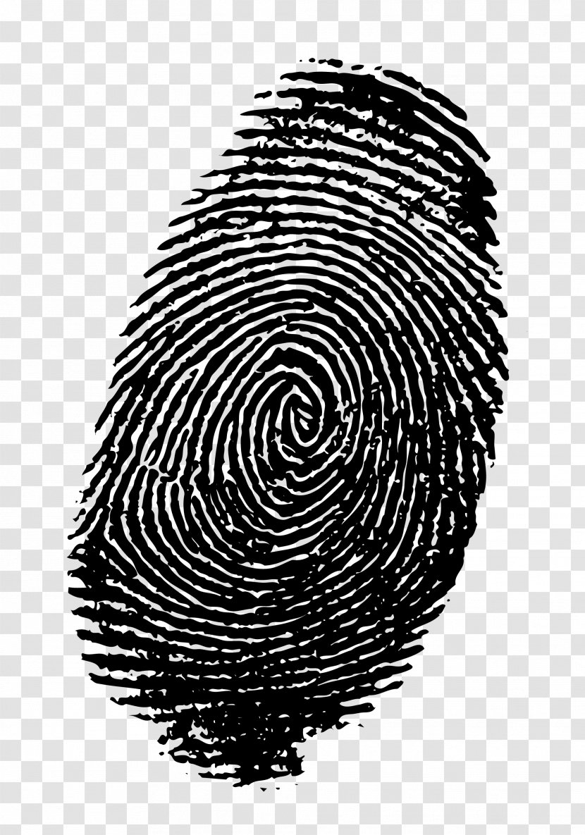 Fingerprint Royalty-free Stock Photography Clip Art - Forensic Science - Fingerprints Transparent PNG
