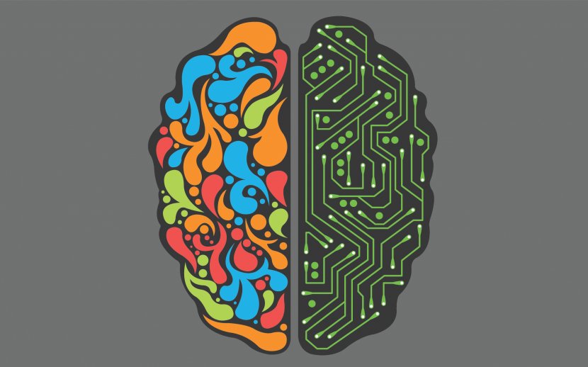 Lateralization Of Brain Function Desktop Wallpaper Cerebral Hemisphere Temporal Lobe - Watercolor Transparent PNG