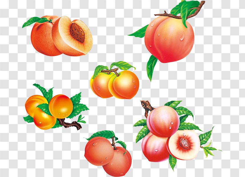 Saturn Peach Fruit Auglis - Peaches Transparent PNG