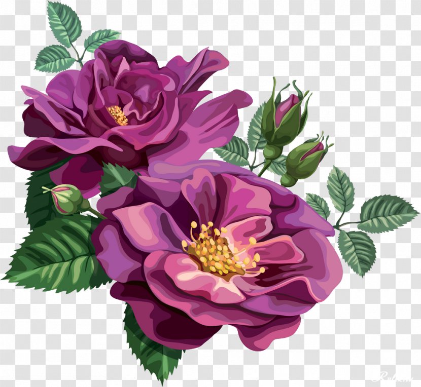 Blue Rose Flower Purple Clip Art - Flowering Plant Transparent PNG