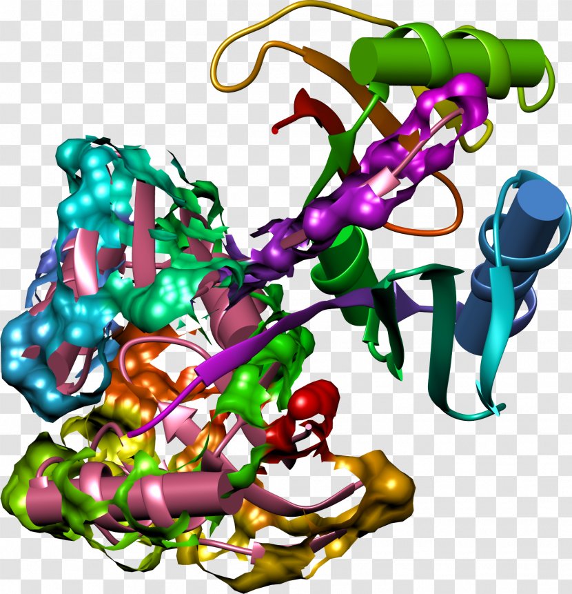 Bleomycin Erlotinib Enzyme Inhibitor Side Effect Denosumab - Digoxin - Poster Transparent PNG