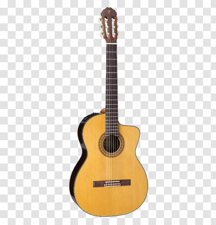 Classical Guitar Bass Electric Acoustic - Folk Instrument - Amazing Amplifiers Transparent PNG