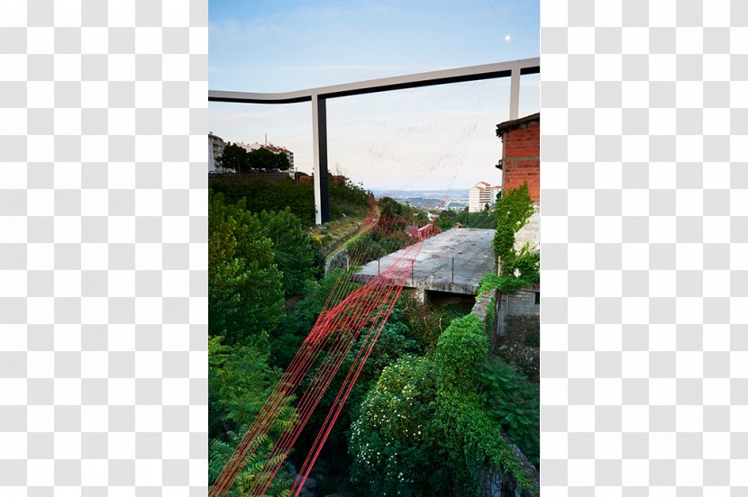 Window House Roof Property Tree - String Red Transparent PNG