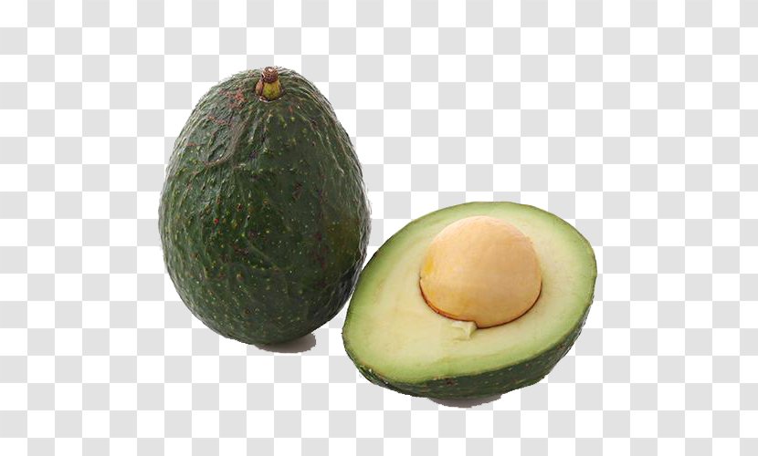 Avocado Fruit Agriculture - Harvest - Agricultural Transparent PNG