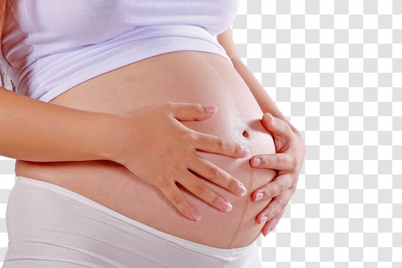 Pregnancy Mother Woman Abdomen Linea Nigra - Flower - Pregnant Woman,belly,pregnancy,Mother,Pregnant Transparent PNG