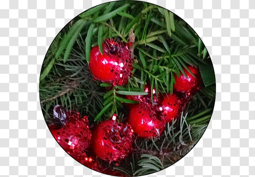 Christmas Ornament Pine Family Day - Red Peony Transparent PNG