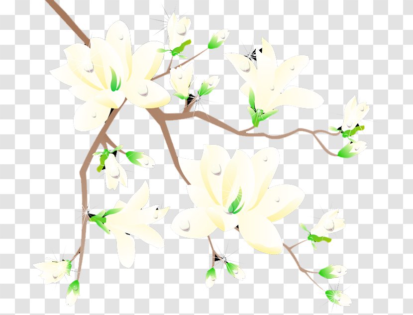 Plum Blossom Flower - Ink Transparent PNG