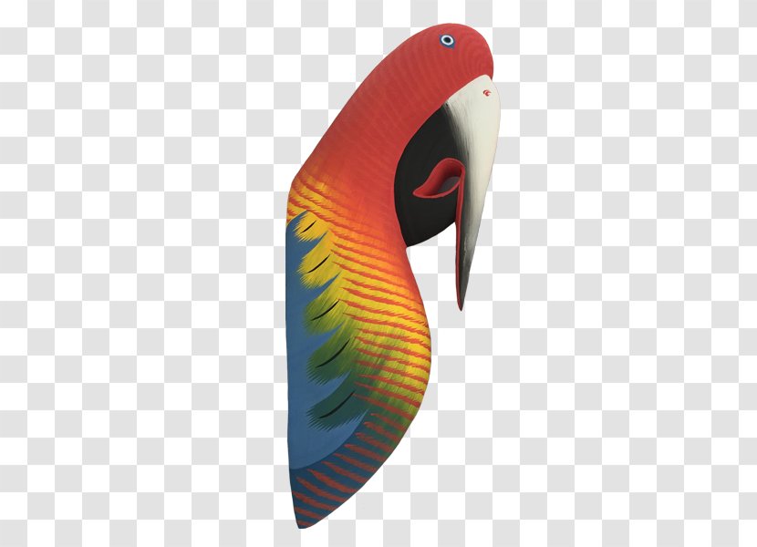 Macaw - Wing - Parrot Decoration Transparent PNG