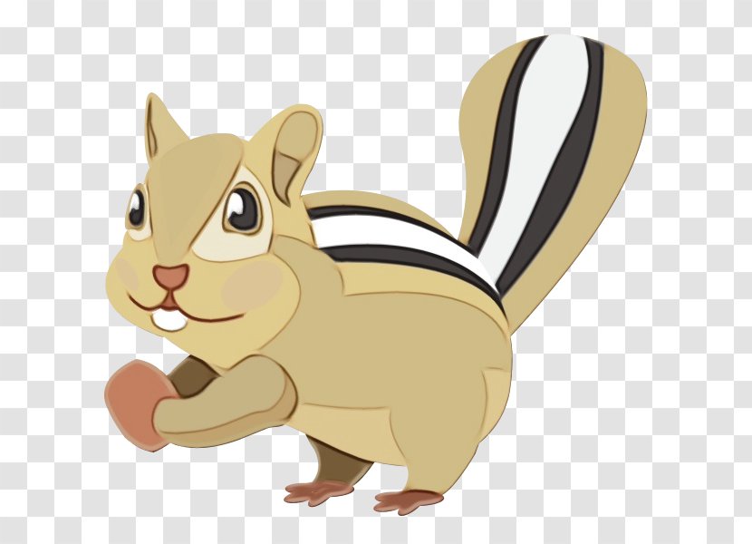 Squirrel Cartoon - Tail - Rabbits And Hares Transparent PNG