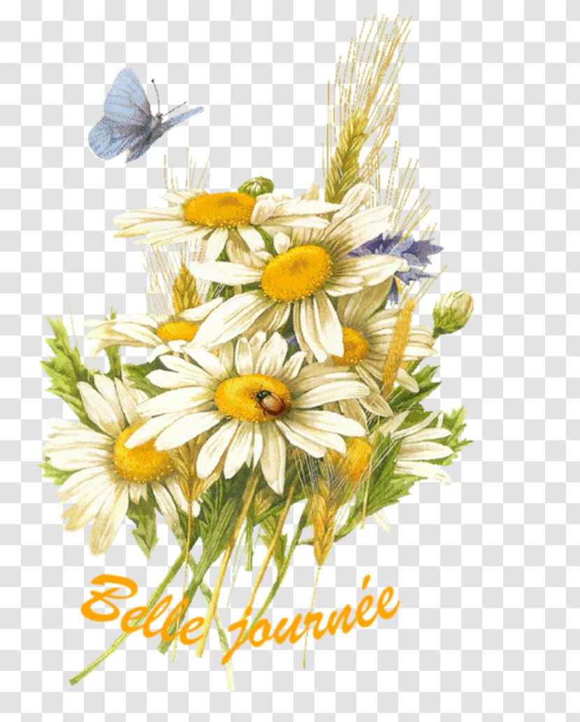 Cut Flowers Floral Design Flower Bouquet Transparent PNG