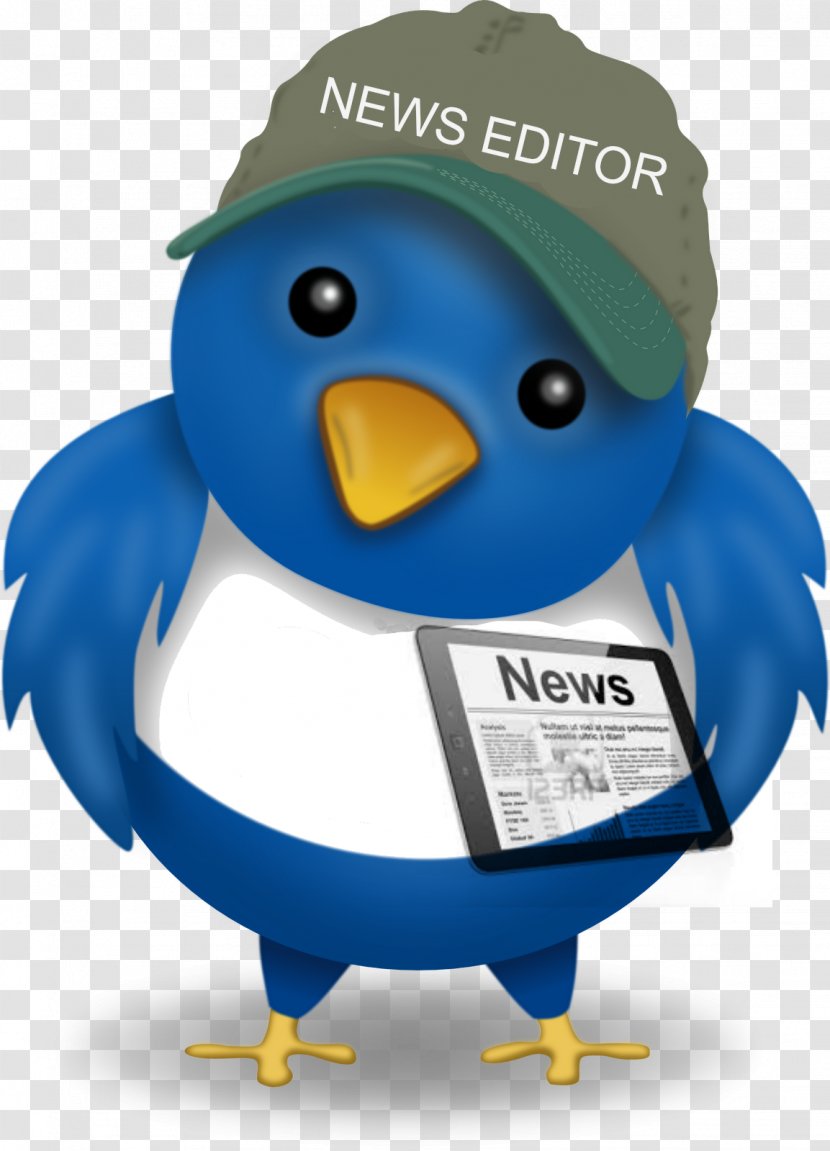 Journalism Public Relations Journalist Media News - Onlinepr - Bird Transparent PNG