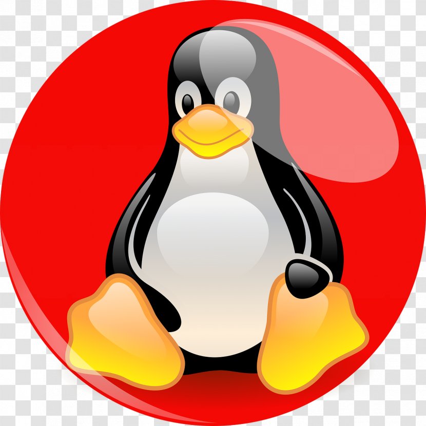 Penguin Red Hat Enterprise Linux Tux - Distribution Transparent PNG