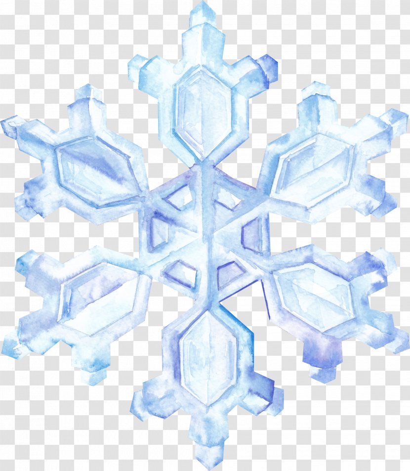 Video Winter Snow Florida Symmetry - Snowflake 1 Transparent PNG