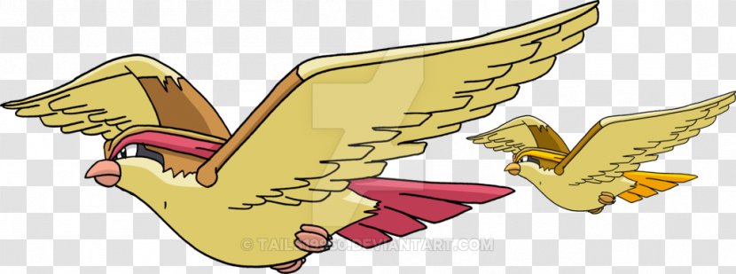 Pidgeotto Ash Ketchum Pokémon Drawing - Frame - Pokemon Transparent PNG