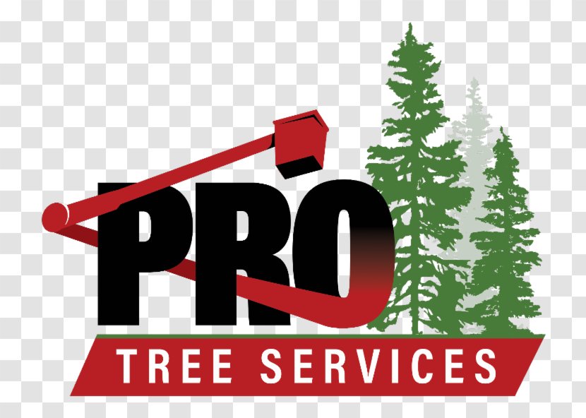 Pro Tree Services Burnaby Christmas Coquitlam - Stump Transparent PNG