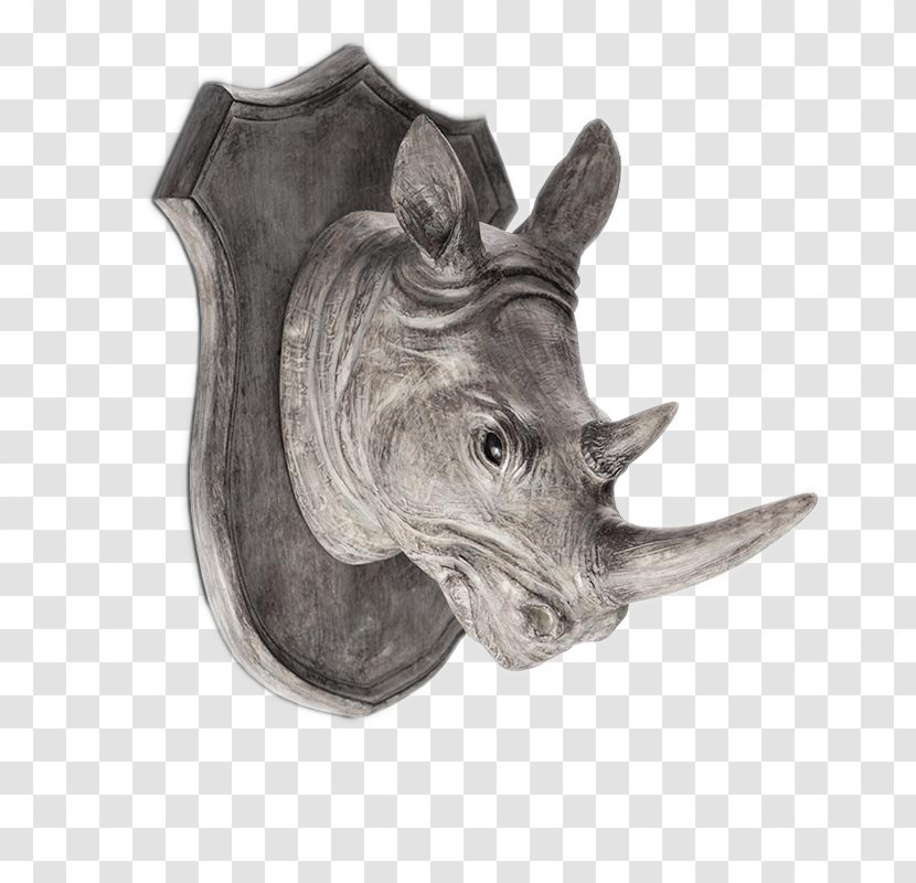 Wall Decal Sticker Decorative Arts Living Room - Snout - Rhino Head Stickers Creative Perspective Transparent PNG