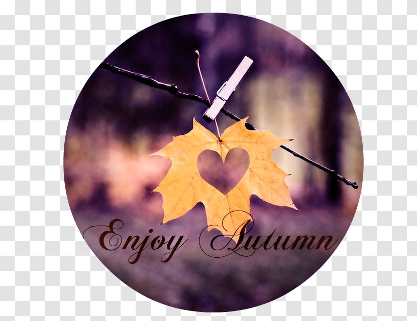 Autumn Leaf Color Heart Love - Golden Indulgence Transparent PNG
