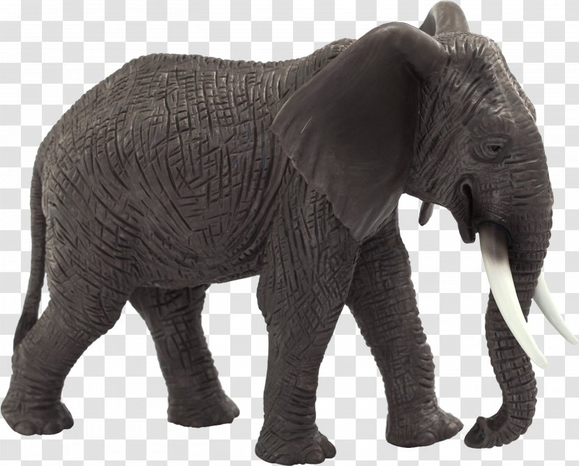 African Elephant Amazon.com Asian Toy - Amazoncom - Watercolor Transparent PNG