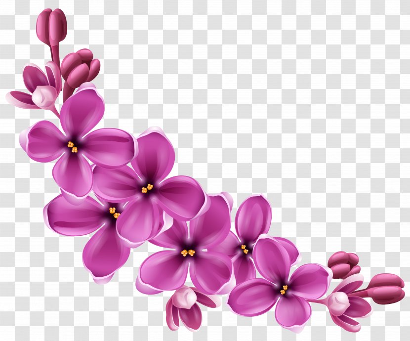 Flower Clip Art - Cherry Blossom - Spring Pink Floral Decor Picture Clipart Transparent PNG
