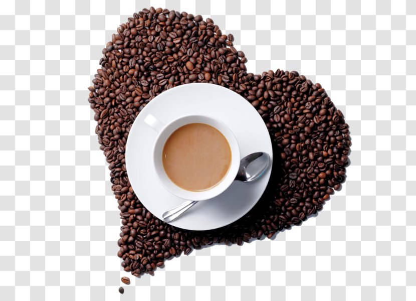 White Coffee Cafe Tea Bean - Drink Transparent PNG