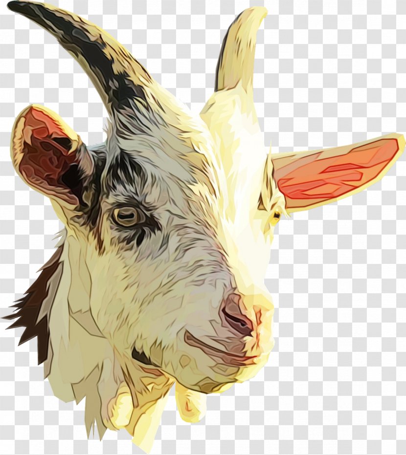 Clip Art Nigerian Dwarf Goat Sheep Boer - Horn Transparent PNG
