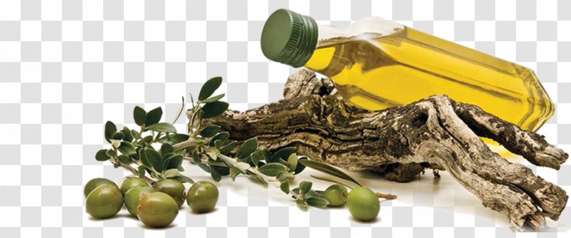 Spanish Cuisine Greek Olive Oil Transparent PNG