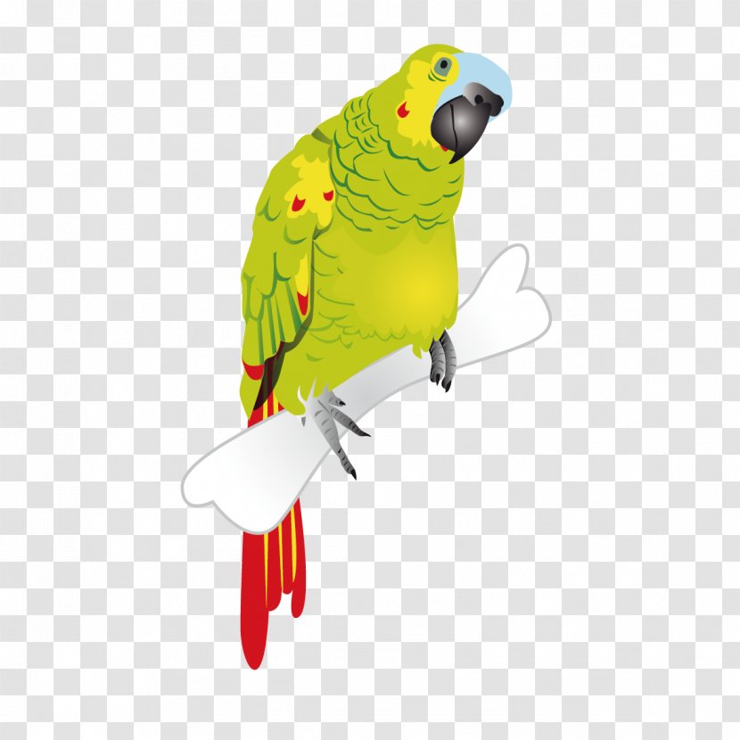 Parrothead Macaw Monk Parakeet - Yellow - Green Parrot Transparent PNG