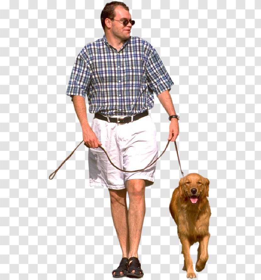 Dog Walking Pet Sitting Labrador Retriever Leash - Paw - Walk Transparent PNG