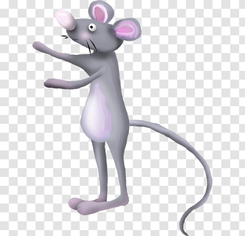 Computer Mouse 2403 (عدد) Clip Art - Muroidea Transparent PNG