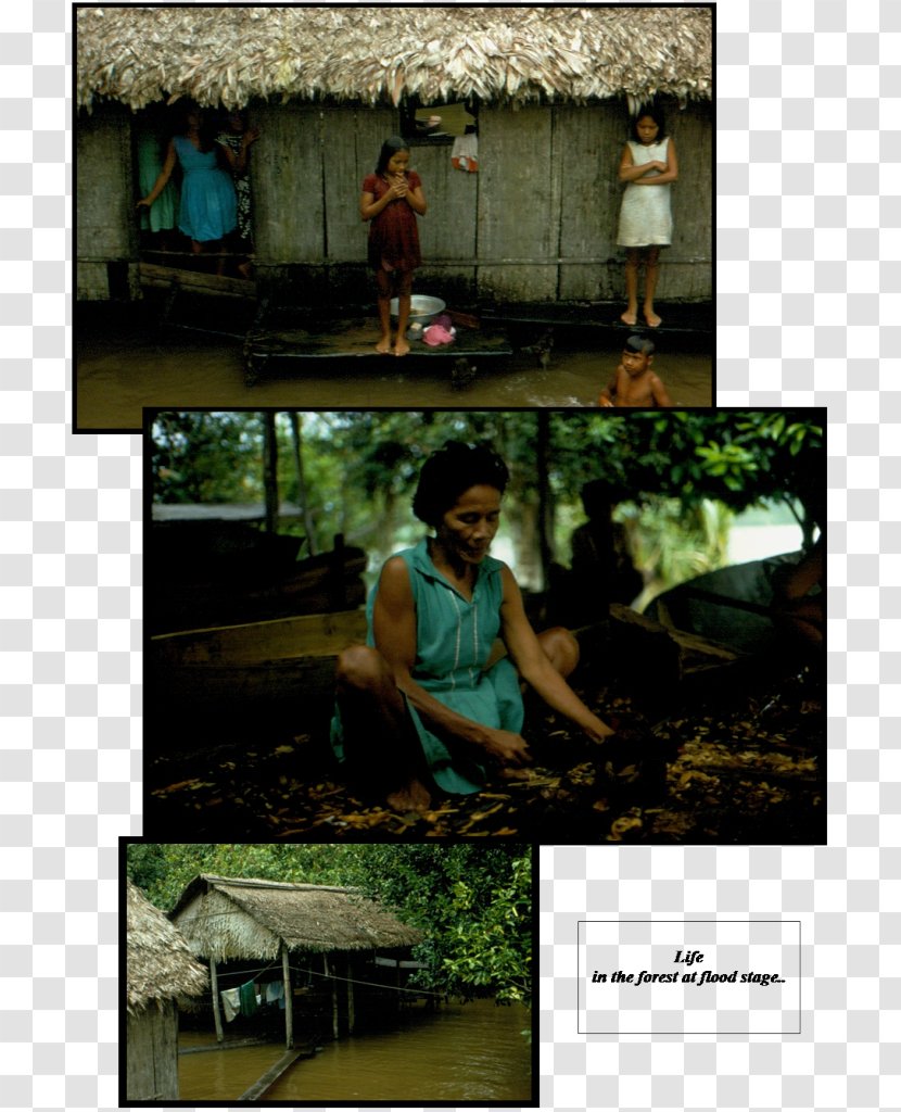 Curren Caleb Stock Photography Archaeology Hammock - Rainforest Transparent PNG