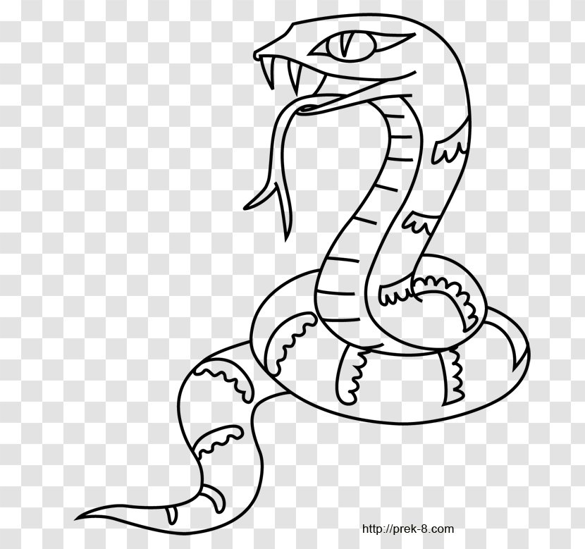 Snake Coloring Book Crocodile Tiger Drawing - Frame - Cartoon Jungle Transparent PNG