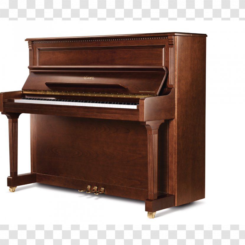 Digital Piano Electric Player Steinway & Sons - Cartoon Transparent PNG