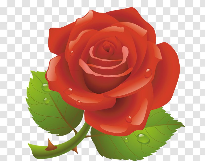 Valentine's Day Red Rose Clip Art - Family Transparent PNG