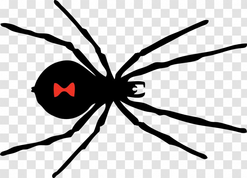 Southern Black Widow Spider Clip Art - Arthropod - Image Transparent PNG