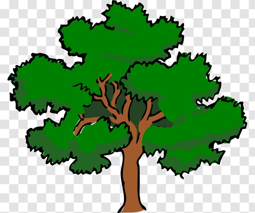 Southern Live Oak Tree Clip Art - Root Transparent PNG