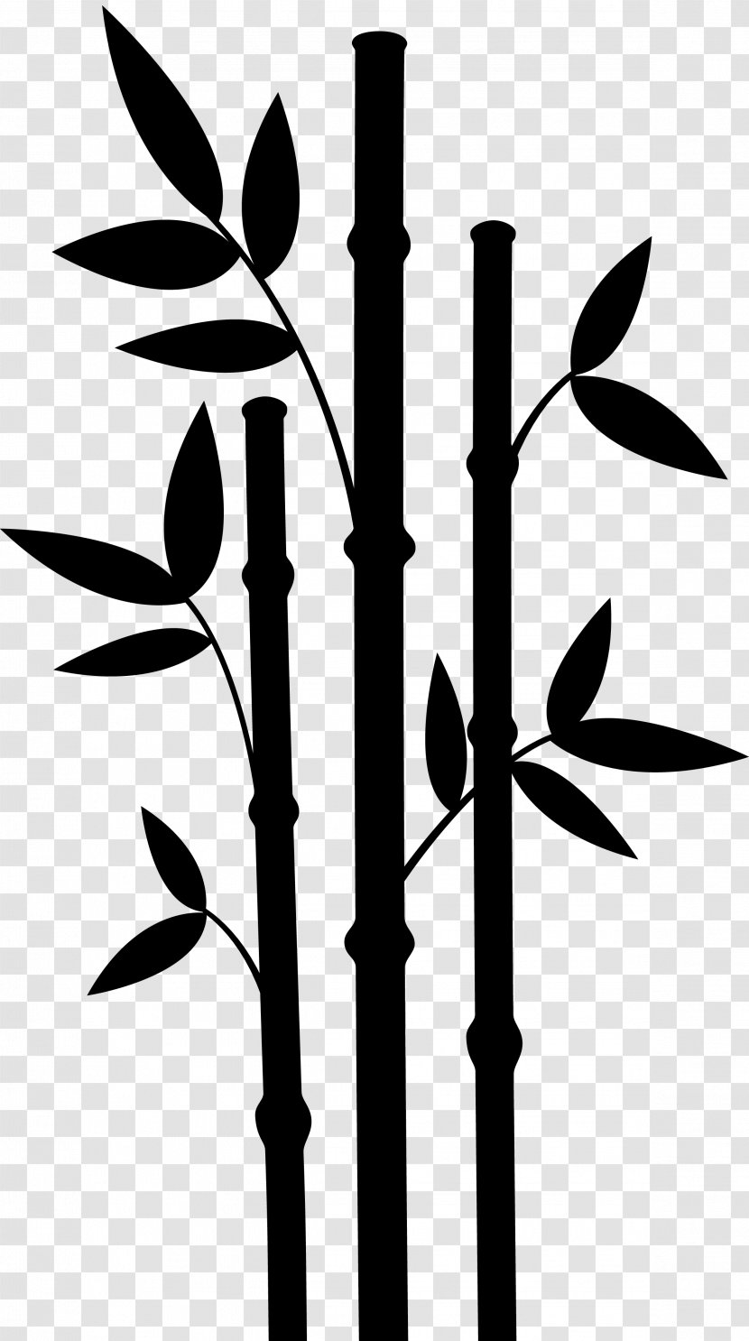 Plant Stem Leaf Flower Font Line Transparent PNG