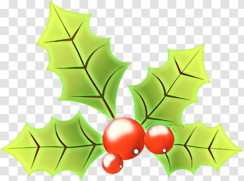 Holly - Plant - Plane Woody Transparent PNG