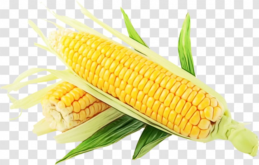 Corn Kernels Sweet On The Cob - Food Grain Cuisine Transparent PNG