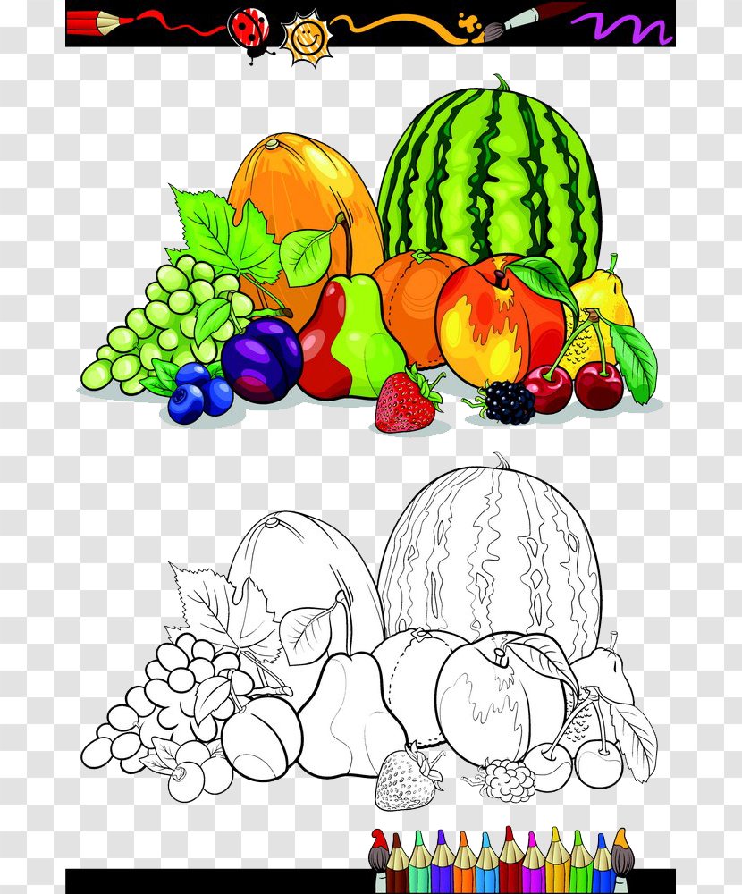 Fruit Vegetable Sketch - Watercolor - Great Rollup Transparent PNG