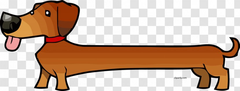 Dachshund Hot Dog Cartoon Drawing Puppy - Tail Transparent PNG