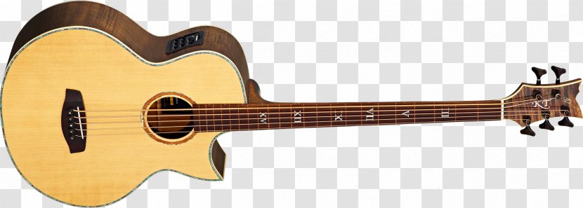Acoustic Guitar Bass Tiple Acoustic-electric Cuatro - Watercolor Transparent PNG