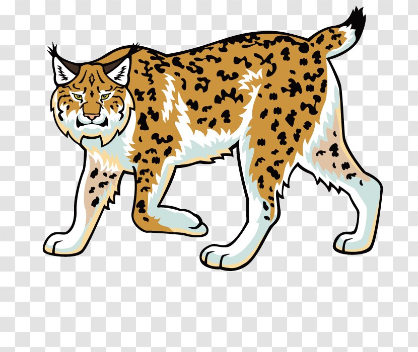 Eurasian Lynx Bobcat Wildcat Felidae Clip Art - Hand-painted Leopard Transparent PNG