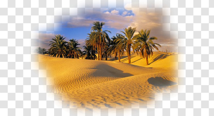 Sahara Oasis Desert Landscape Ghadames - Sky Transparent PNG